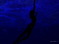 TheDeep.jpg