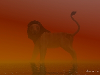 predator1.jpg